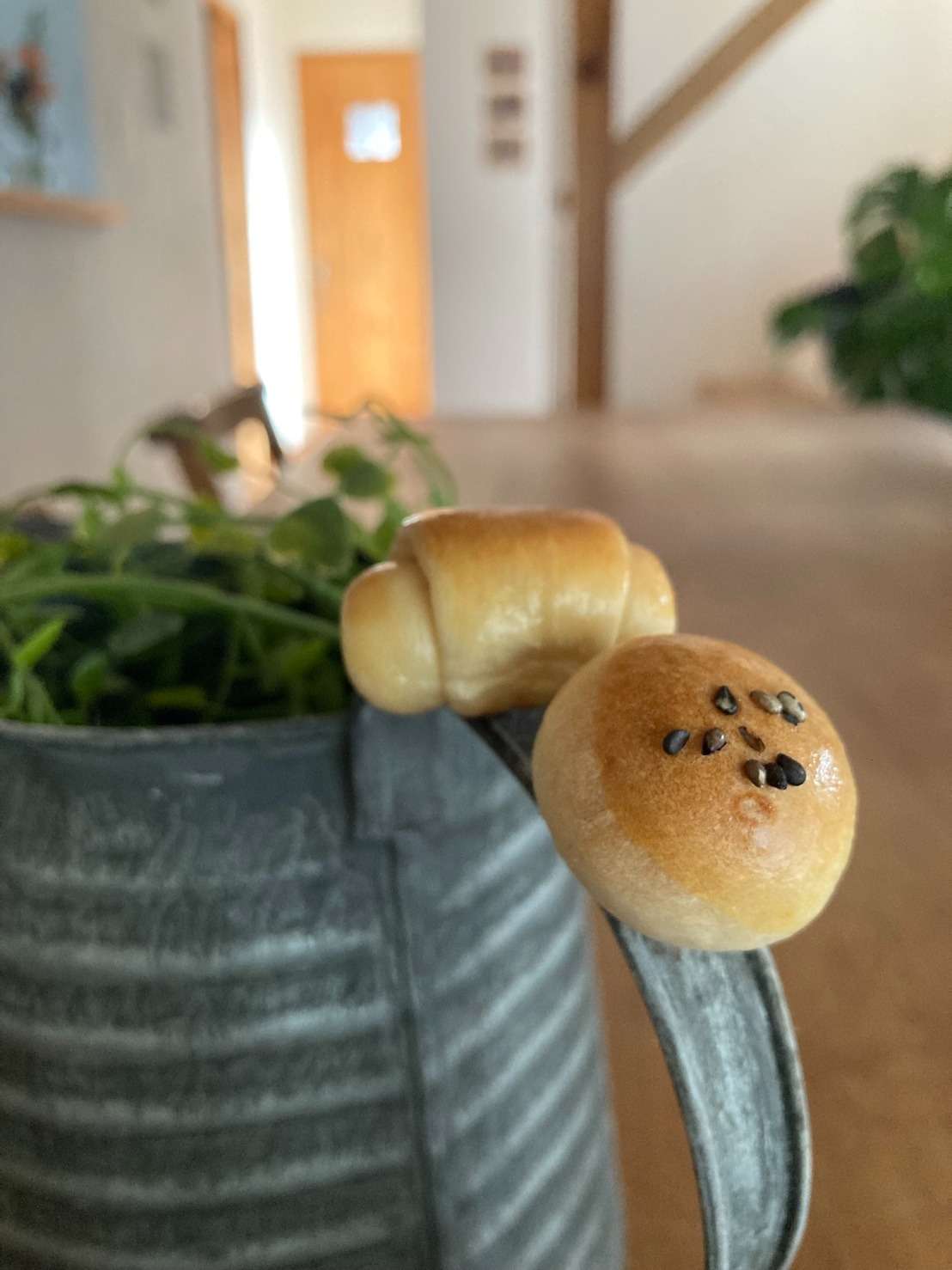 パンはパンでも食べられないパン🍞