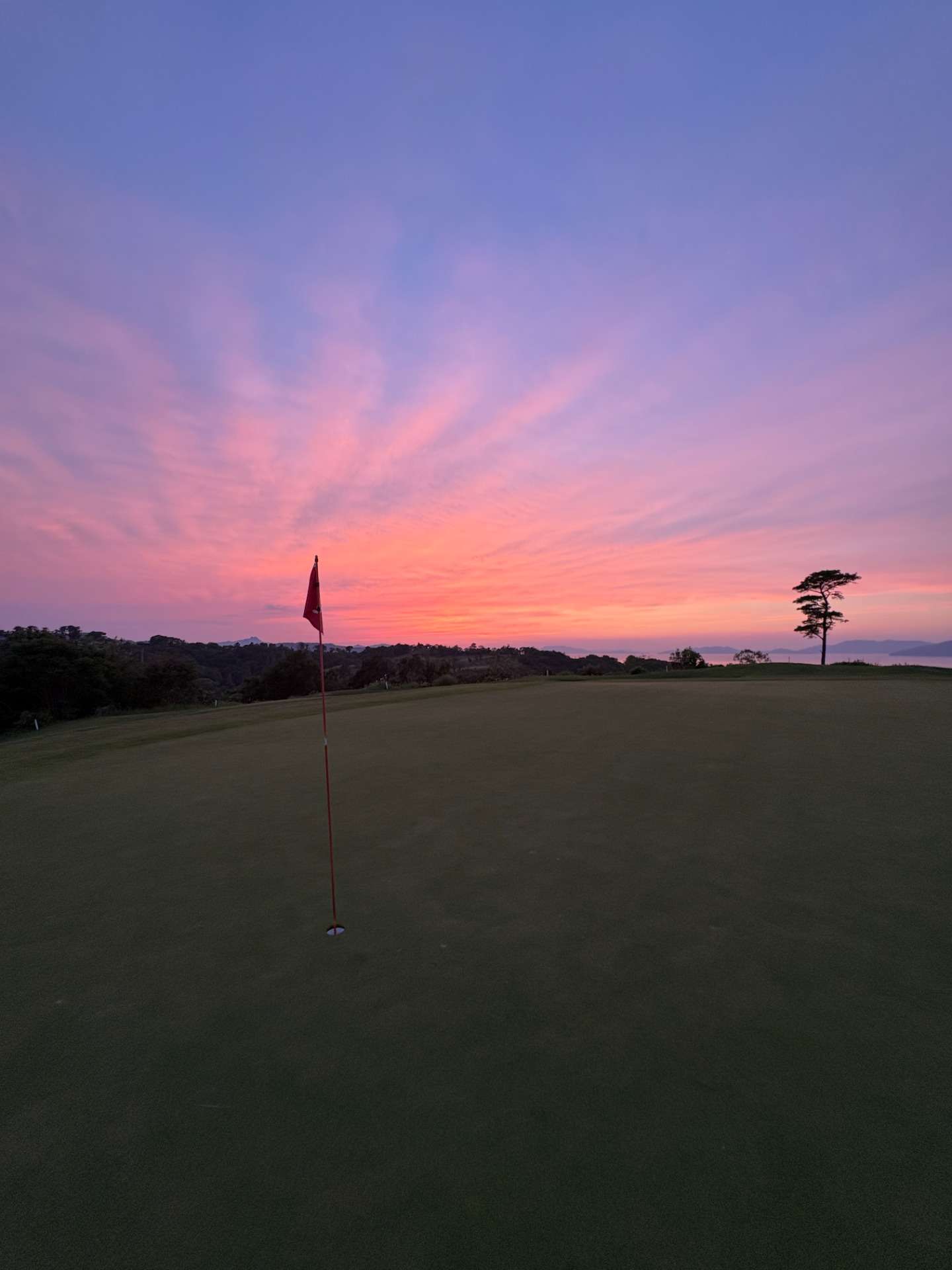 改めて自己紹介させてください⛳