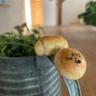 パンはパンでも食べられないパン🍞